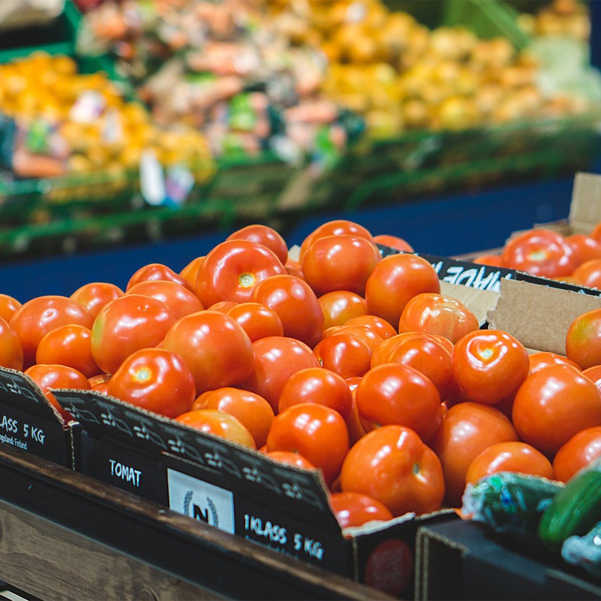 PluggedInCC's tweet image. Italy has passed a law to send unsold food to charities instead of dumpsters. 

Who else thinks this is incredible?!

#pluggedin #stalbert #yeg #community #nonprofit #endfoodwaste #nowaste