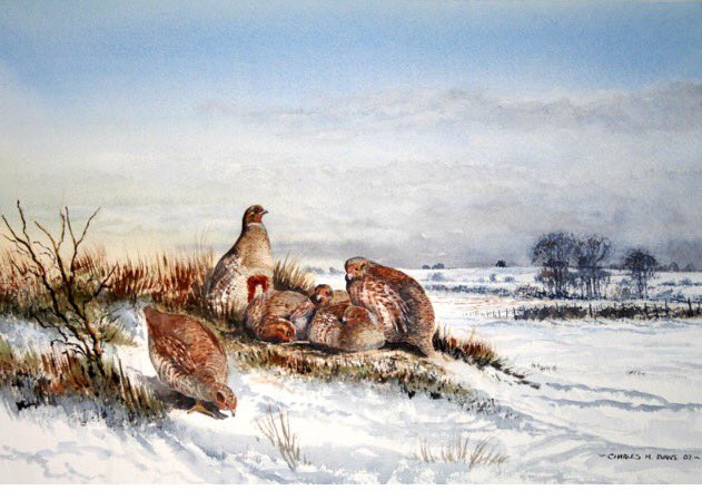 charlesevansart's tweet photo. I’ve noticed recently how many people put,”self taught” we’re all self taught! I went to art college, seems like a hundred years ago, but art colleges don’t teach you how to paint! The how to and need to, comes from you! https://t.co/Ao1MBsGDkG
