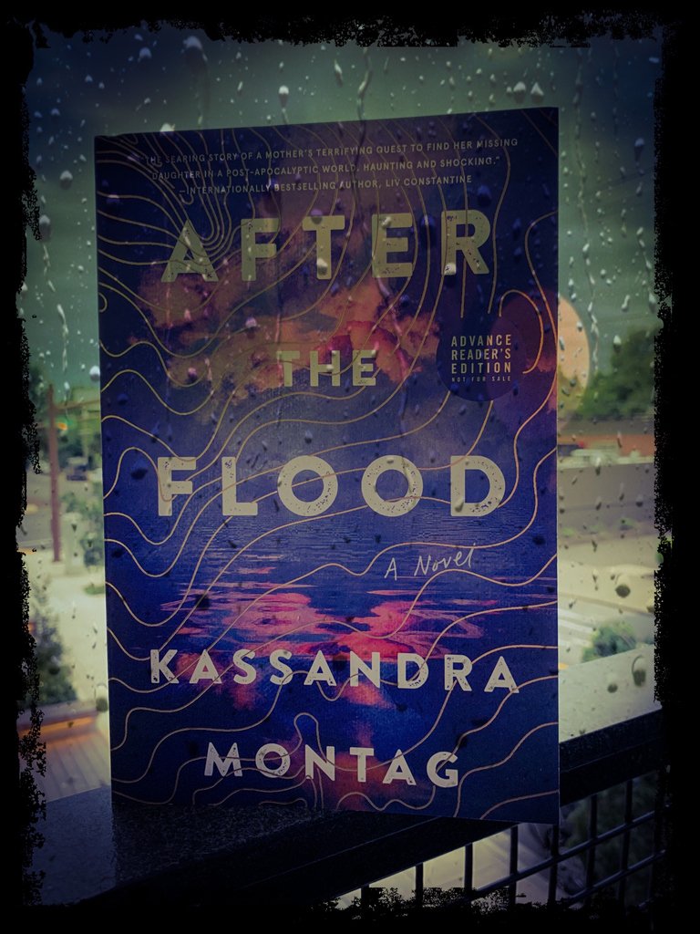 ReadingFreak316's tweet photo. #bookmail
A couple weeks ago I got this amazing #arc in the mail! Thank you @goodreads @WmMorrowBooks #KassandraMontag
I am super excited to read this one 🌧 
#AfterTheFlood #GoodReads  #GoodreadsGiveaway #bookblogger #confessionsofareadingfreak https://t.co/aG5ePEb5JG