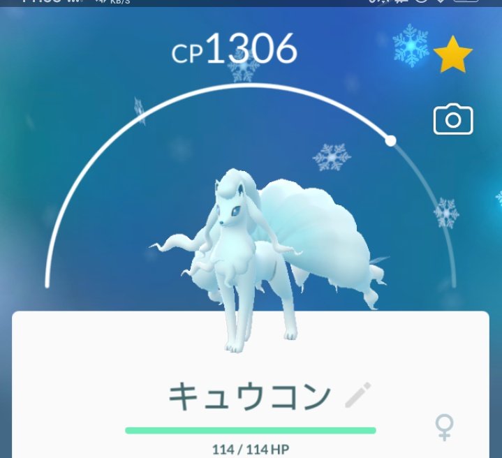 Pokemon Go ماليزيا アローナ卵からロコン じつは コロンと言ってました すぐに進化させた キュウコン あってる