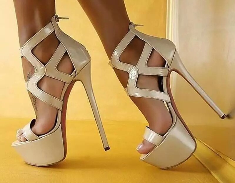 shoemaniya's tweet photo. 36-45EU size
Dm to order
Free shipping
Payment via PAYPAL
Price:89.00 €

#highheels #loveheels #heelsaddict #heelsfetish #shoefetish #heelsdance #heelshoe #weddingheels #heels #heelslover #strappyheels #heelsimport #chunkyheels #killerheels #stilettoheels #blackheels https://t.co/j7LRPaBQYy