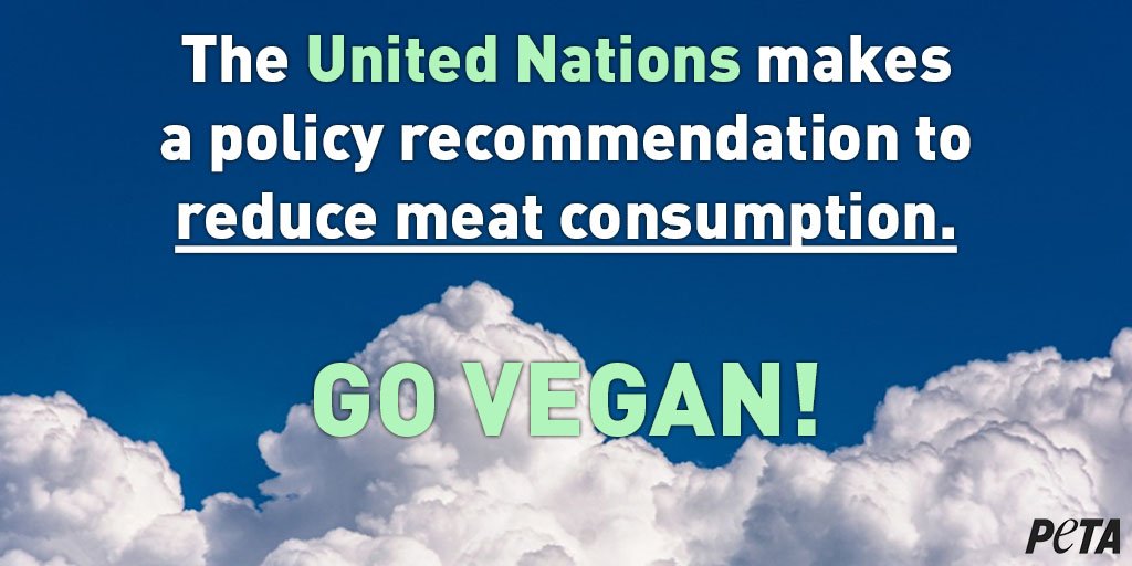 peta's tweet photo. ICYMI: The new @UN climate change report states that a switch to #PlantBased eating will help save the planet.

We are facing the biggest environmental challenge in modern history. Scientists need to say GO #VEGAN. https://t.co/XFYFuy6Up2 https://t.co/PPba4bYOLn