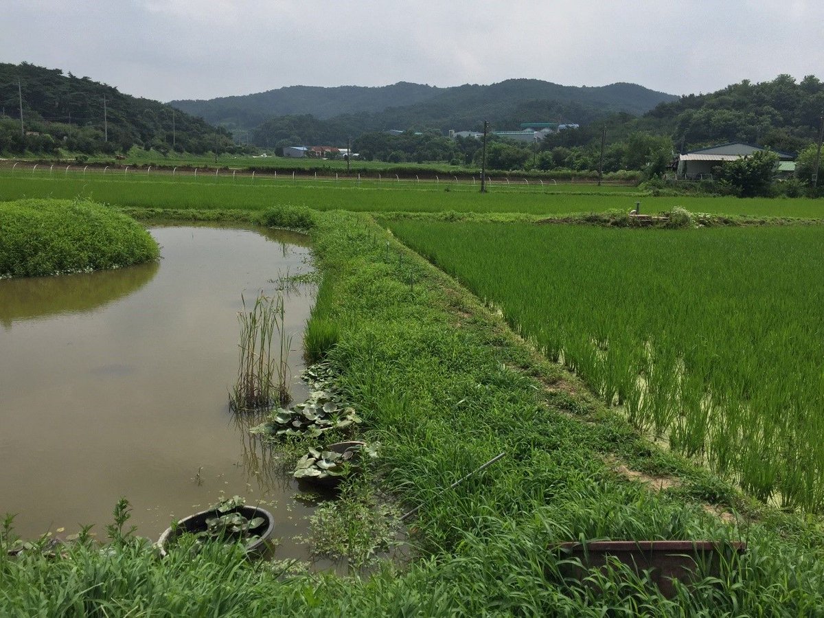 #Permaculture as a response to biodiversity loss from the industrial food system | @DrBenjaminHabib <a href="/MCRSociology/">Uni Manchester Sociology @uomsociology.bsky.social</a> <a href="/LaTrobePMP/">La Trobe University - Politics, Media & Philosophy</a> #DS71 buff.ly/2OJqHLS