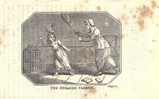 You want to know what makes Victorian children's books truly great?

KILLER PARROTS.