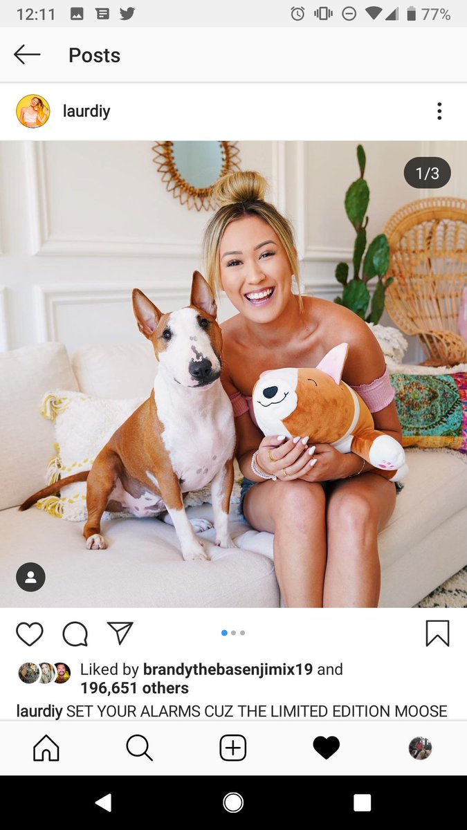 beccakorin15's tweet photo. Gave in and got the cutest stuffie ever 🥰🐶♥️  Also, happy birthday @laurDIY enjoy your day and snuggles from moose moose! ♥️🥳 https://t.co/bnej1LUU5G