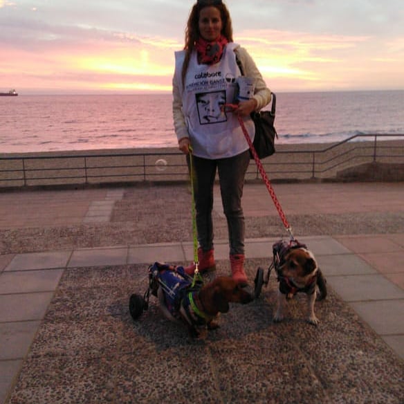 DBisquertt's tweet photo. Hoy es el último día de la #ColectaAnual  @Fundacion_Gantz TODOS A APORTAR 💸💪🏼 Ayer estuve en el paseo costero #VinadelMar con ayudantes especiales parte de mis peludos discas Ragnar y Leftraru me acompañaron lo pasaron bien y la gente se animo a ayudar a los niños con fisura 😊 https://t.co/EdUkYz7iJL