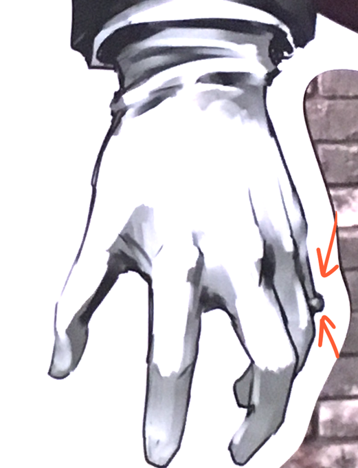 フェスで撮った写真見てたらもしかして祭装サリエリ、小指にシルバーリングしてる?(関節にはみえないので) 