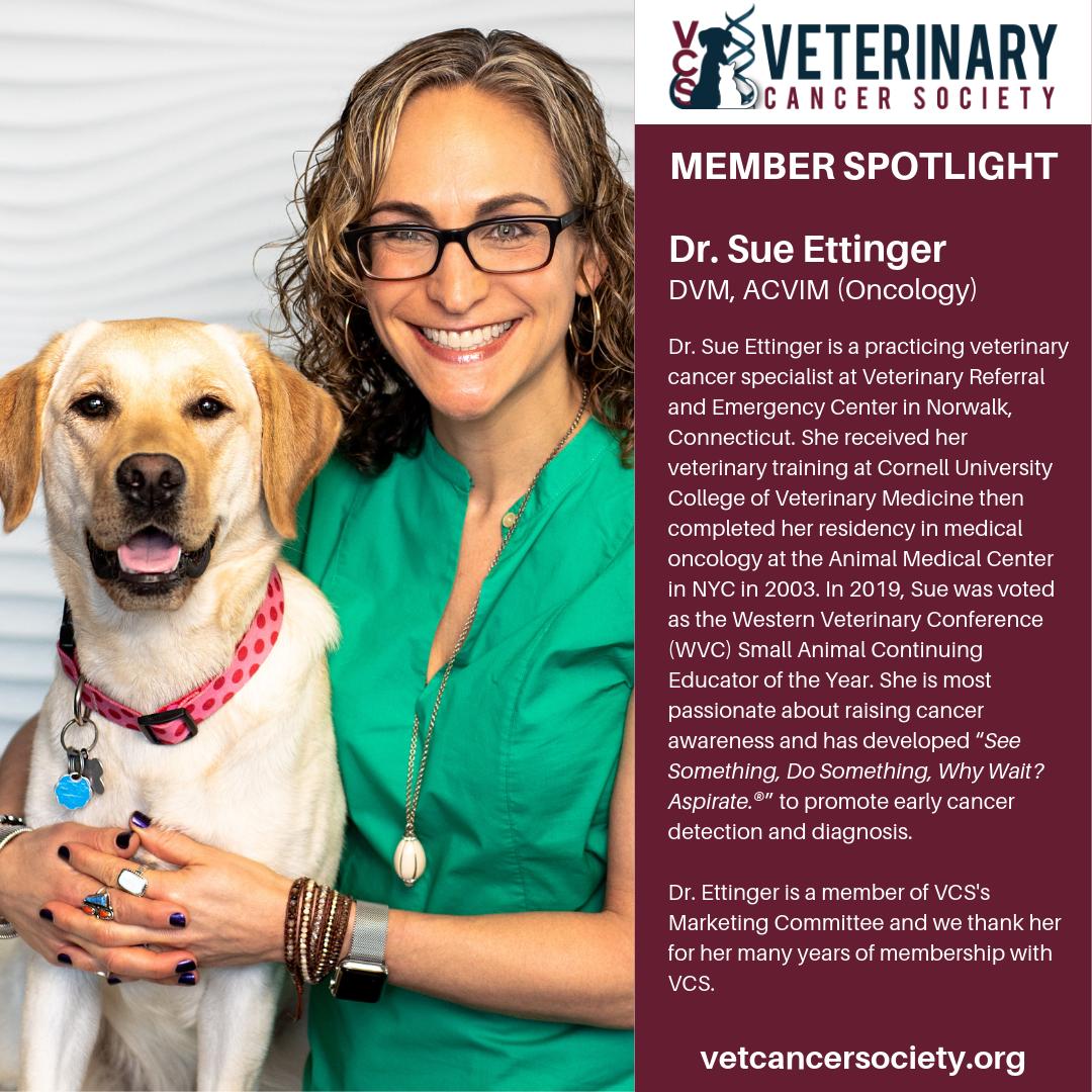 Veterinary Cancer Society tweet media