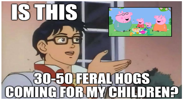 jrssnet's tweet photo. #feral #hogposting #oc https://t.co/DuSwJg21cf