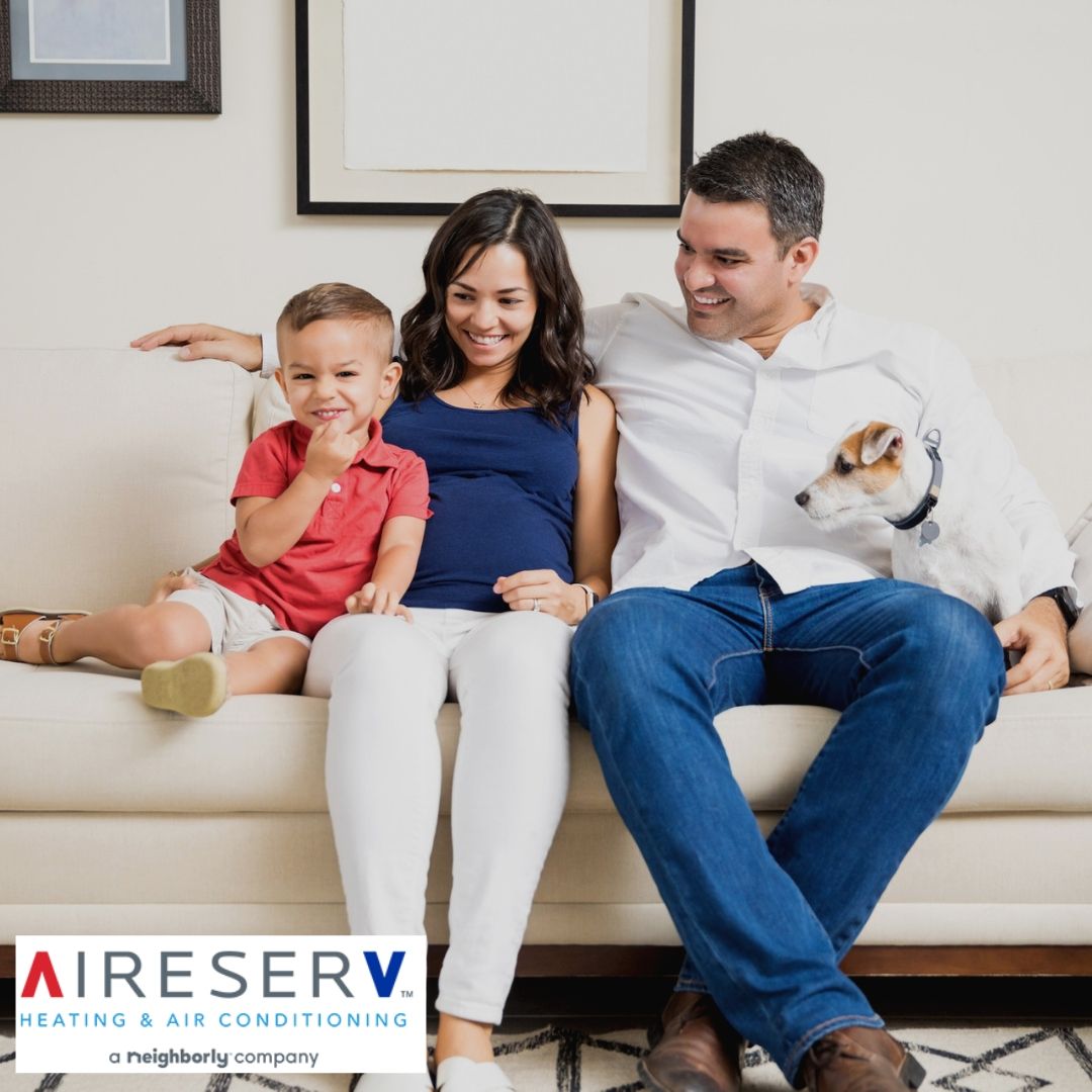 download Farm animal