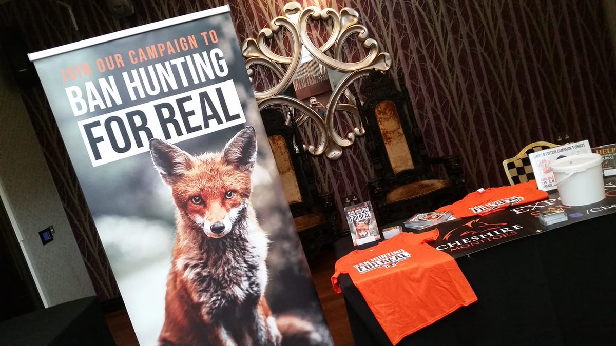 Cheshire Monitors tweet media