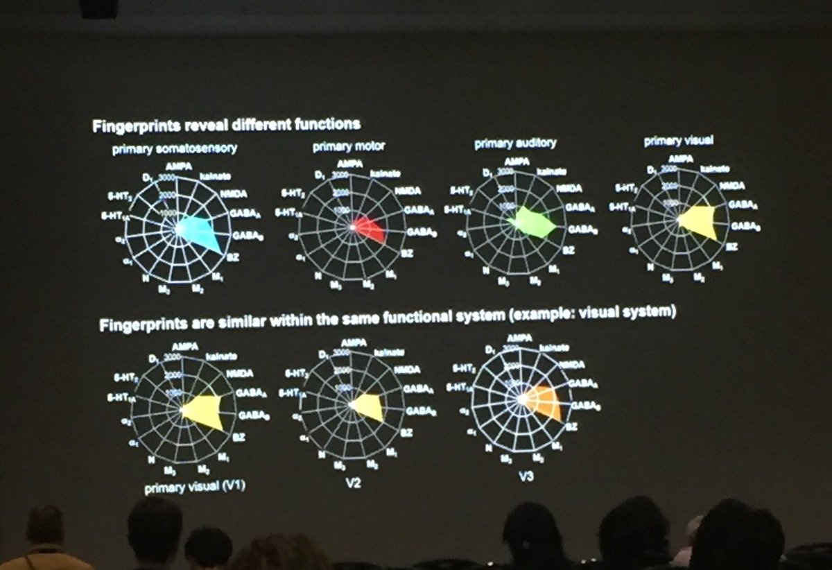 Professor Karl Zilles giving his perfect lecture in @ifaa2019