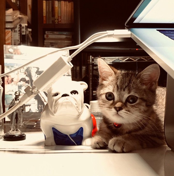 メフィスト賞のtwitterイラスト検索結果