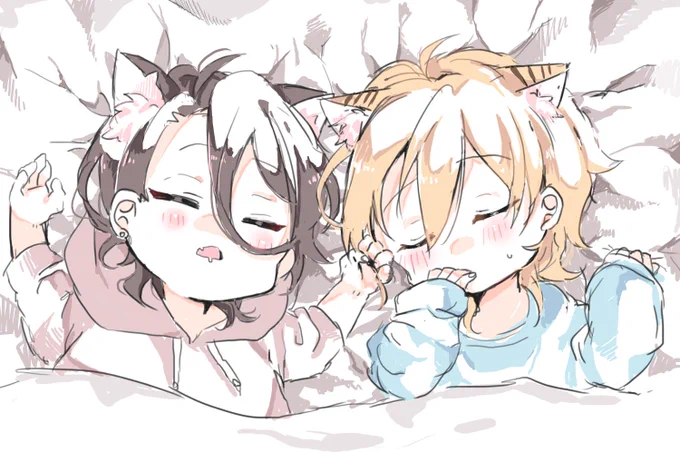 おやすみねこ 