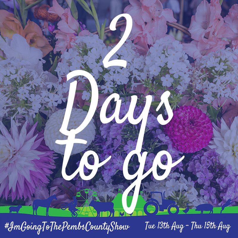 PembsCountyShow's tweet photo. 2 days to go! Are all of our competitors ready for showtime?! 🤔
#ImGoingToThePembsCountyShow #SeeYouAtThePembsCountyShow https://t.co/vdOVQbXVCx