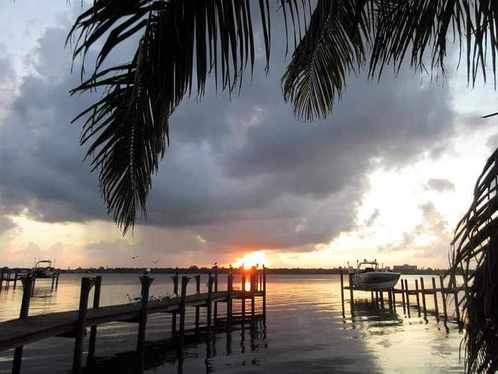 VivaSarasota's tweet photo. #SiestaKeySunrises #ThanksCharlie #VivaSarasota @wfla @SNNTV @mysuncoast #WFLA #SNN #MySuncoast #LoveSrq #LoveFL #LoveSK #SharetheLoveSrq #SharetheLoveSK #Sarasota #SarasotaFlorida #Srq #SK #SiestaKey #SiestaKeyBeach #Live941 #4Srq #4Sarasota #GoodMorningSrq #GoodMorningSunshine https://t.co/fcLa4MXGmm