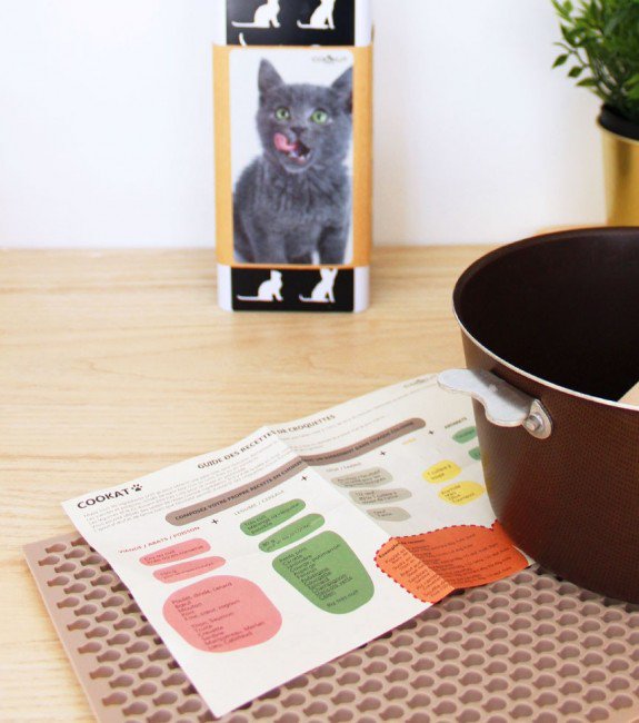 Drolesdanimaux_'s tweet photo. Top 10 des objets insolites à avoir lorsque l’on possède un chat https://t.co/cLsBp4DZOU https://t.co/DZjJJ1PR87