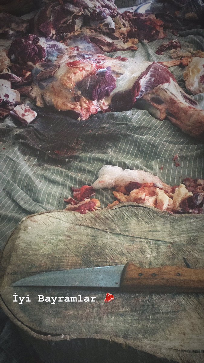 Önceki bayram şekerin olamadım gel bu bayram kurbanın olayım.