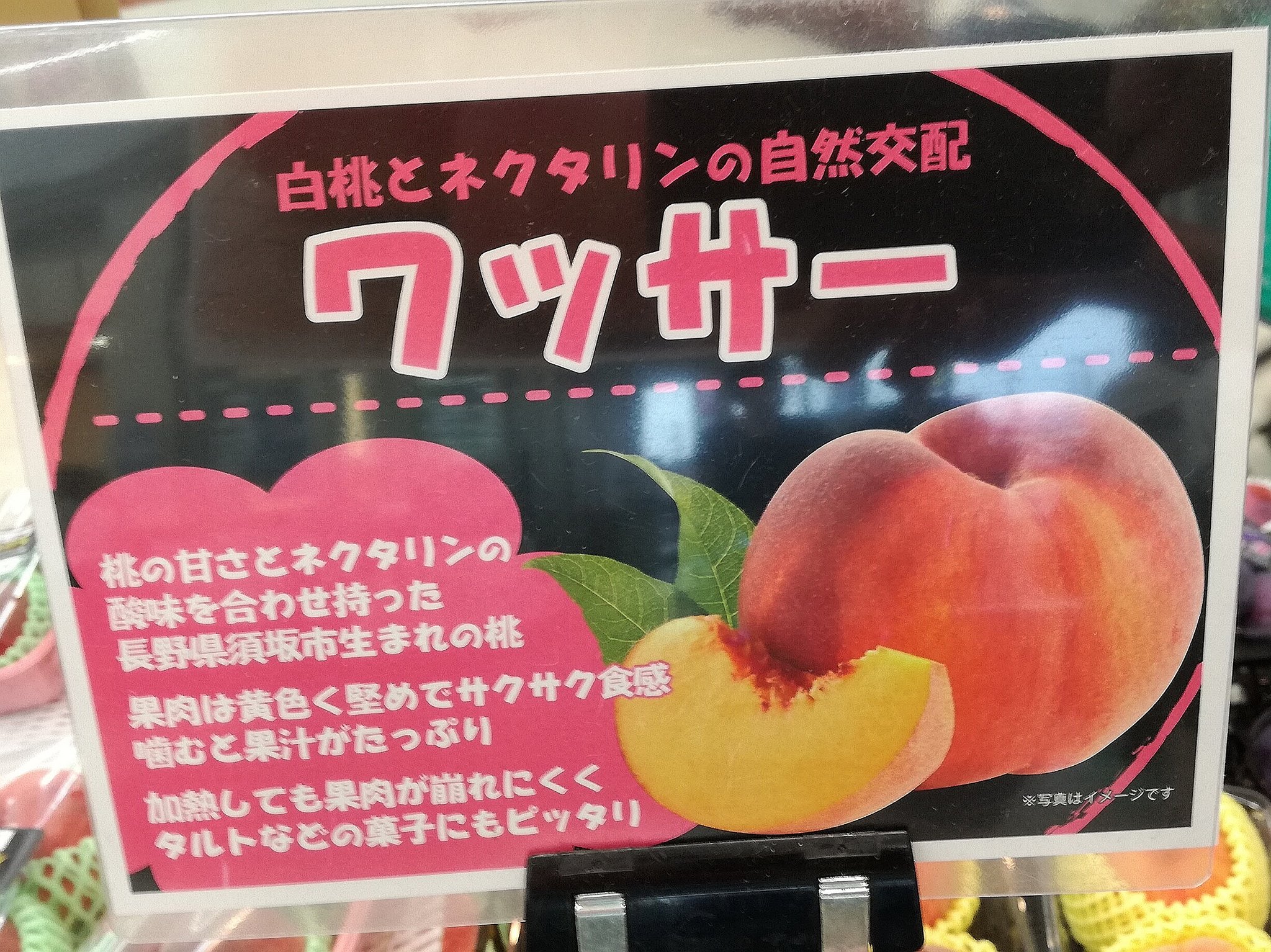 じんわり たろう 長野pr 長野には ワッサー という名の珍フルーツがあります 見た目 桃 味 桃 ネクタリン 食感 カリカリ梅 名前の由来は ワサワサ生い茂る ワンサカと実る ワサビと合う 生産者のアダ名 など諸説ありますが 4 じんわり たろう 長野pr 長野には ワッサー という名の珍フルーツがあります 見た目 桃 味 桃 ネクタリン 食感 カリカリ梅 名前の由来は ワサワサ生い茂る ワンサカと実る ワサビと合う 生産者のアダ名 など諸説ありますが 4