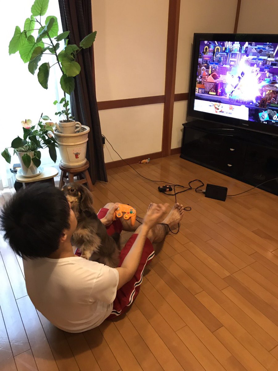 2kcBc's tweet photo. 実家でのスマブラはアシストフィギュアあり（3次元）だったの忘れとった https://t.co/OijO1iyGvP