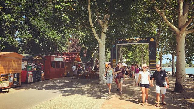 einbahnstrasse's tweet photo. Current mood — Hungarian #wine festival on Lake #balatonCurrent mood — Hungarian #wine festival on Lake #balaton https://t.co/GMDworc7eT