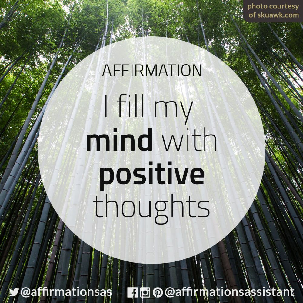 affirmationsas's tweet photo. I fill my mind with positive thoughts

What positive thoughts help you stay motivated? https://t.co/zAfEtCtFYy