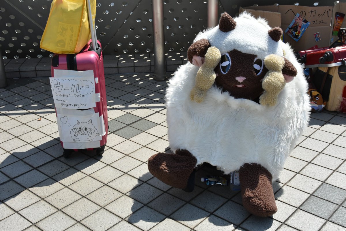 タルメタル エントランスにいた可愛い癒し系キャラ ウールー ひつじポケモン ポケモン コミケ96 3日目 エントランス C96 C96コスプレ 中の方は暑くて大変だったと思います ありがとうございました タルメタル エントランスにいた可愛い癒し系キャラ ウールー ひつじポケモン ポケモン コミケ96 3日目 エントランス C96 C96コスプレ 中の方は暑くて大変だったと思います ありがとうございました
