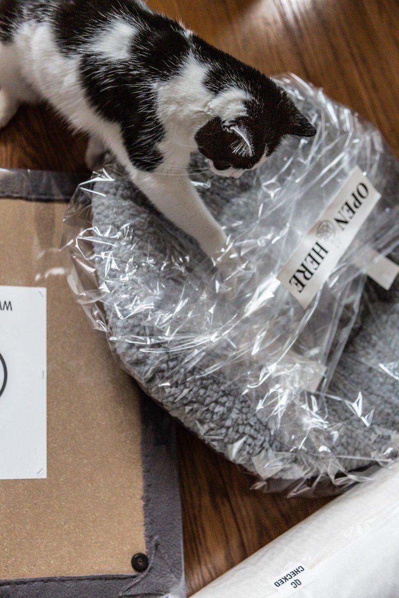 CosyPosts's tweet photo. Dear Henry, 🐱

This one is for you! 🥰🥰🥰

Quality checked by our experienced and invaluable assessor!😼😼😼

We hope you'll enjoy it 😺😺😺 https://t.co/inbPQY8Z4K