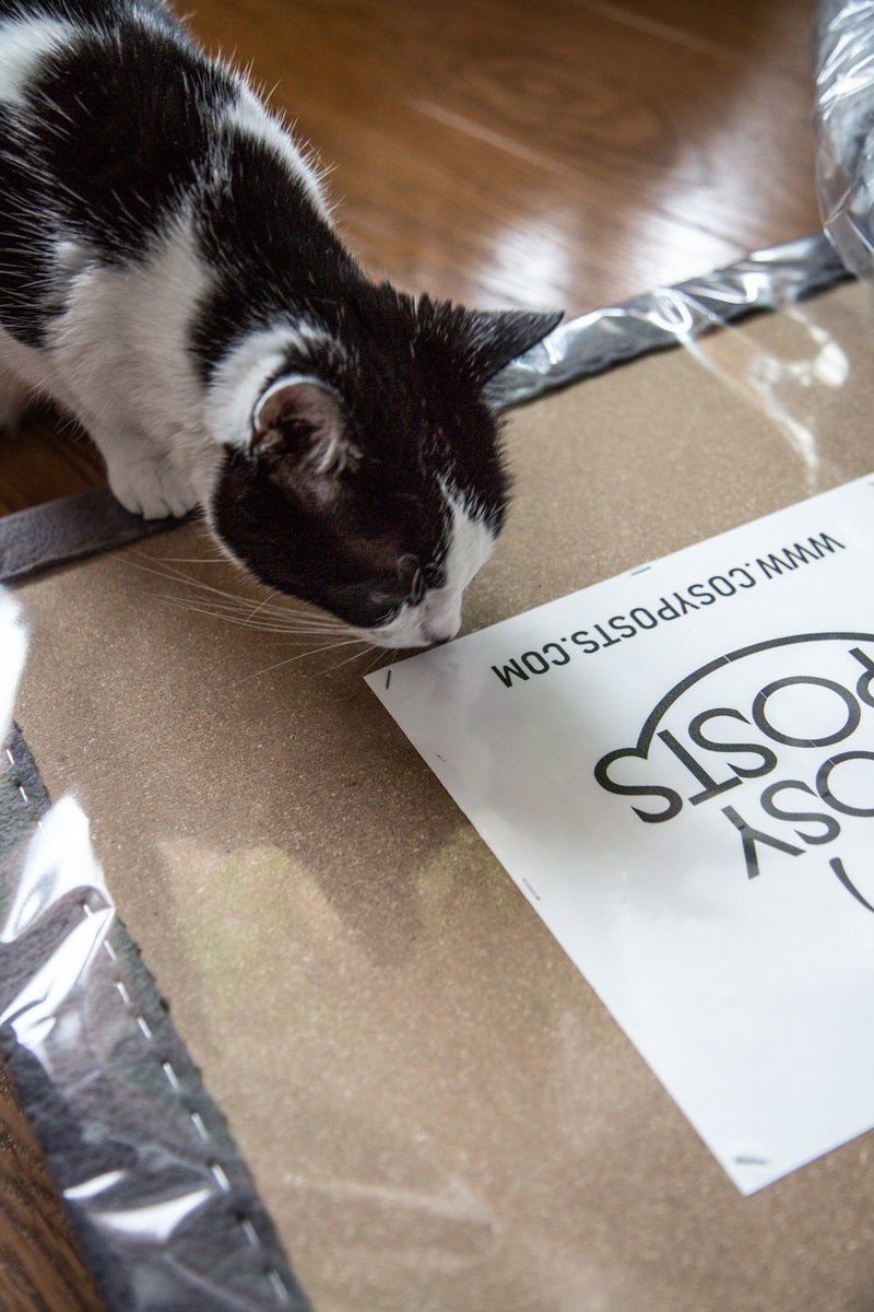 CosyPosts's tweet photo. Dear Henry, 🐱

This one is for you! 🥰🥰🥰

Quality checked by our experienced and invaluable assessor!😼😼😼

We hope you'll enjoy it 😺😺😺 https://t.co/inbPQY8Z4K