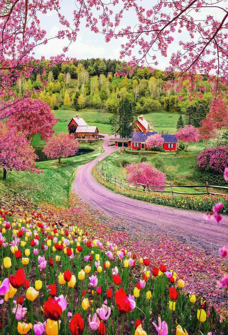 gigliointi's tweet photo. #miglioaugurio Vivere a colori 🌈#BuonaDomenica #agosto
#checaldochefa 🍧🌊🌊
@BrindusaB1 @AlessandraCicc6 @Rebeka80721106 @GuernseyJuliet @bmarczewska @Hakflak @lagatta4739 @LunaLeso @migliaccio31 @VAlivernini @atzeni_regina @gherbitz @dadagioia @ANNAMARIABIASI1 @Papryka5 https://t.co/IHvu7Ne1Jk