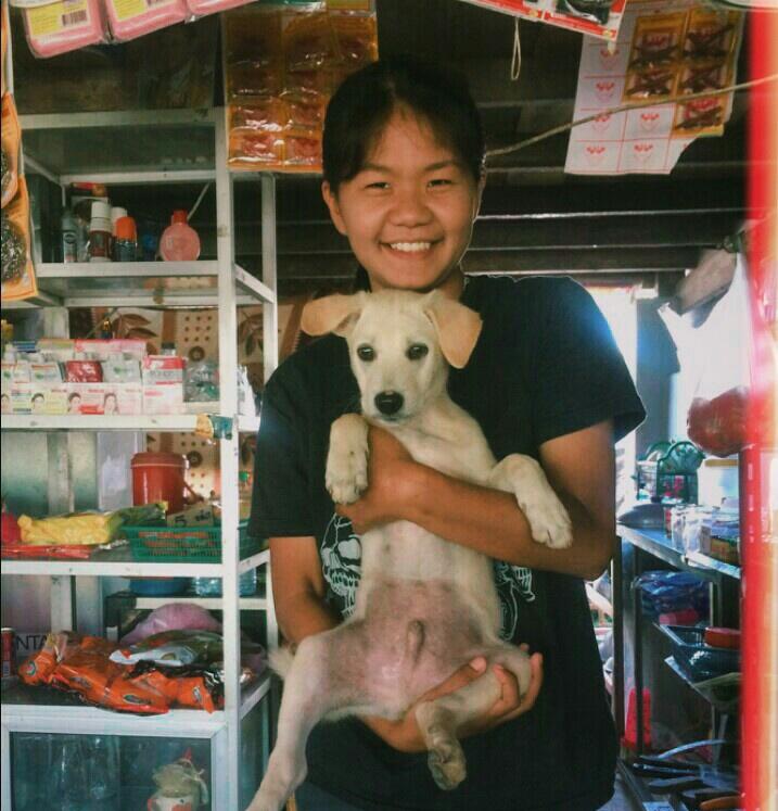 moowhan2312's tweet photo. #โดนัทจัง 🐶💕 https://t.co/5TNI44OaEm