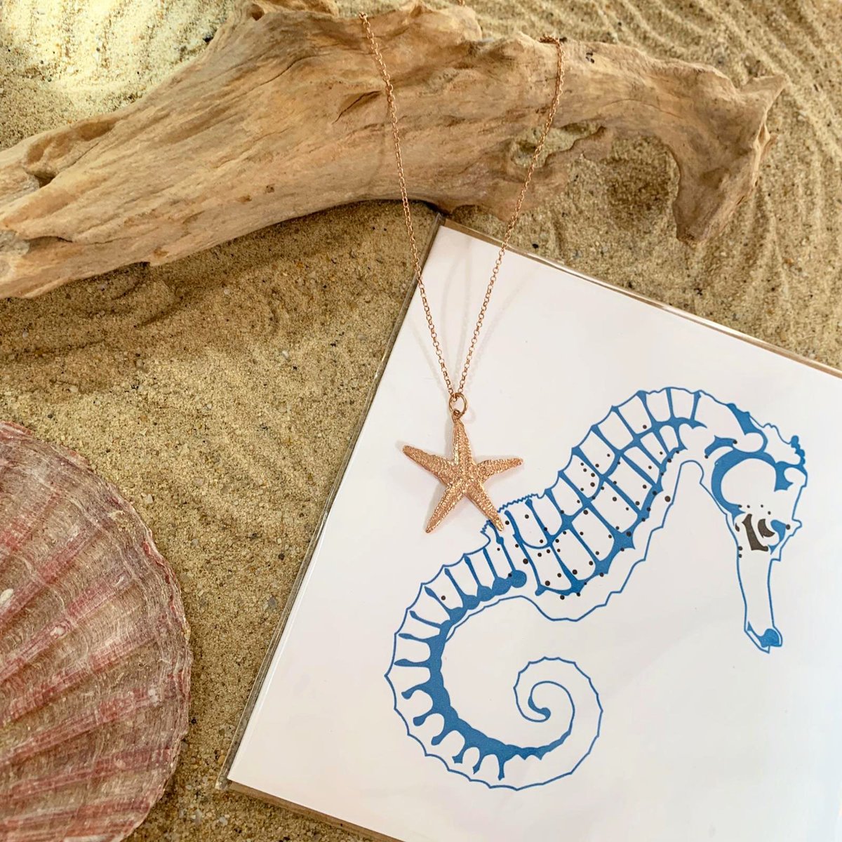 Seas the day with this starfish necklace <a href="/MilsomPlace/">Milsom Place</a> <a href="/CabbageWhiteEng/">Cabbage White</a> <a href="/bathindiechat/">Bath Indie Chat</a> #starfishnecklace #seahorsecard #shoplocal #bathboutique