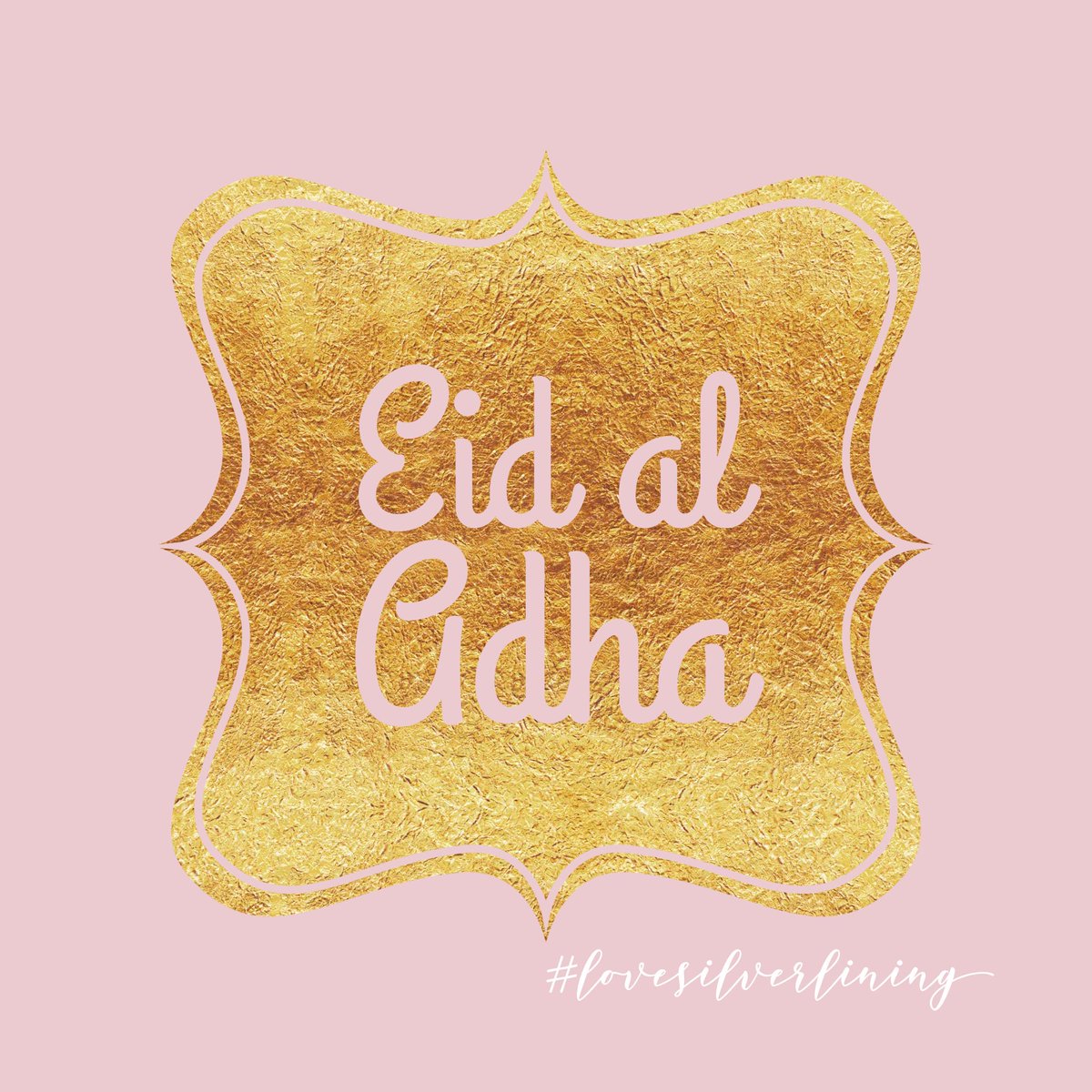 Eid Mubarak #eidaladha #bigeid #eid #eid2019 #qurbani