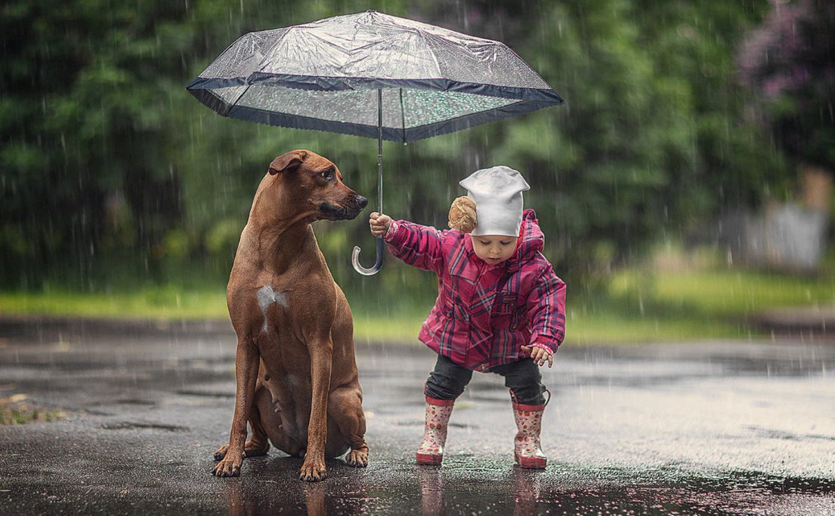 부모도
자식속을 모른다

그런데
타인의 속을
누가 알수 있겠는가....