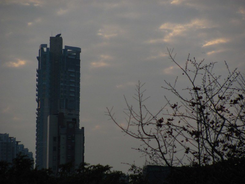 Hong Kong 118 – Hong Kong Picture hongkonginformer.com/232171/hong-ko…