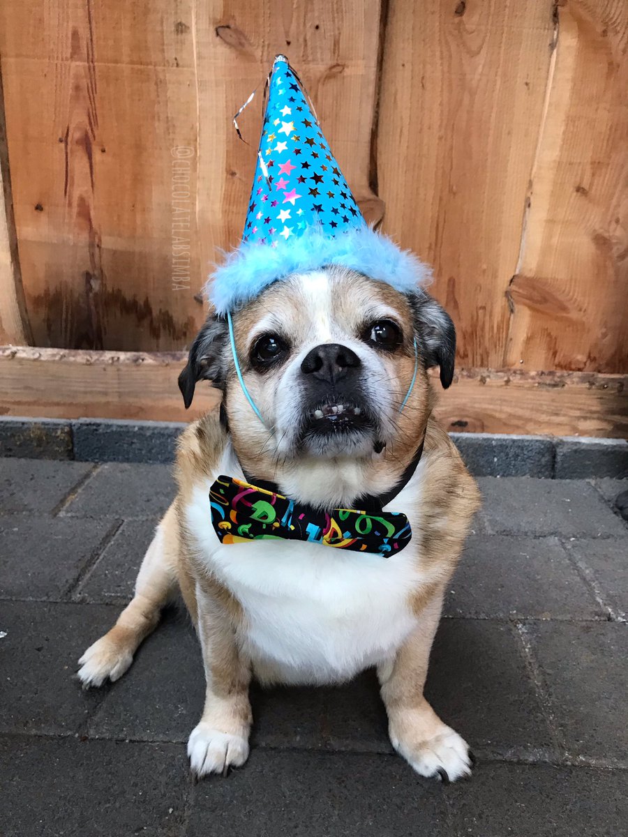 halfmar's tweet photo. Happy 14th Birthday Sam! 🥳♥️ https://t.co/udXLyhKiES