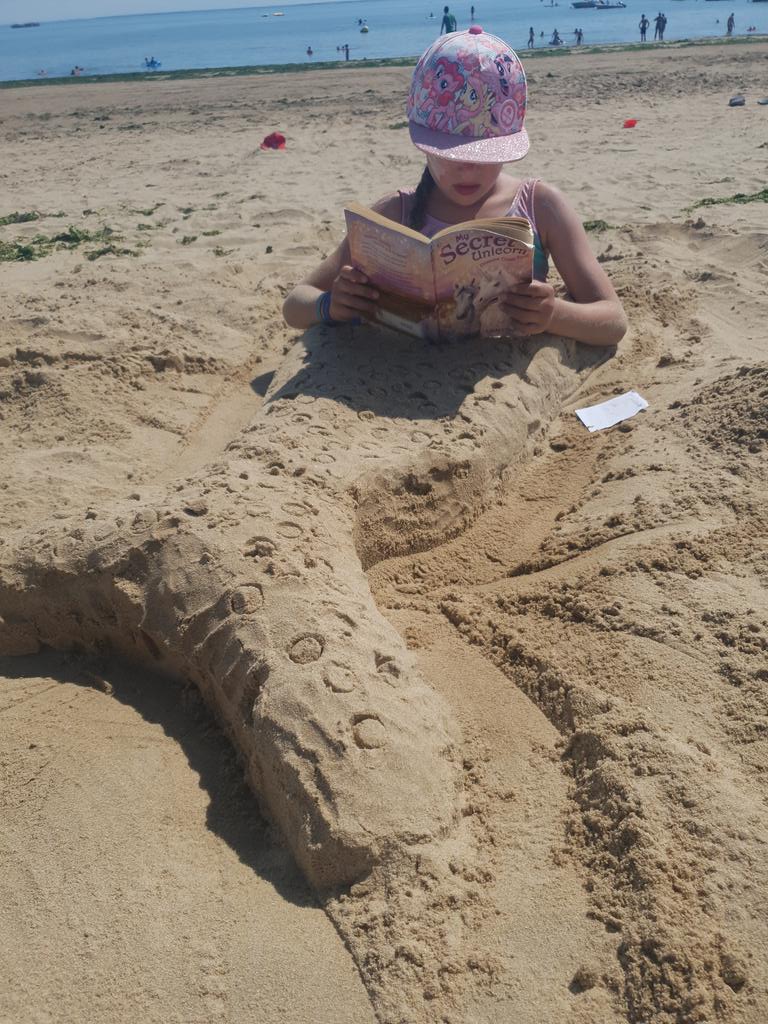 Joanne12116649's tweet photo. @morley_newlands Amelia the mermaid, reading on the beach and in the car in France. #mnaSummerReadingBingo https://t.co/8PtvMuhDHh
