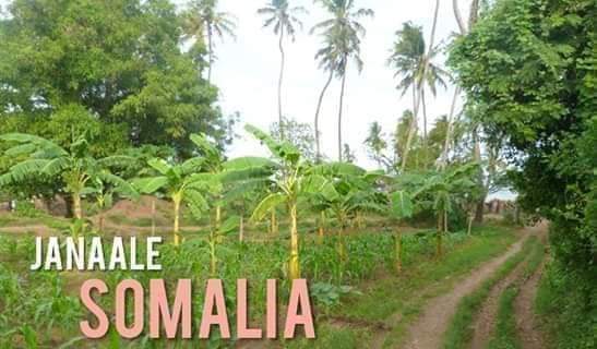 My Somalia country pe peace ever ✊