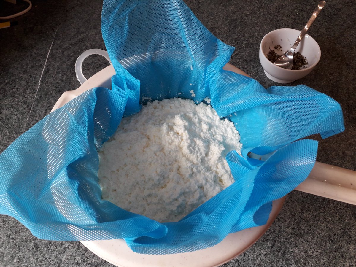 suearcheryqueen's tweet photo. Stage 2 in cheese making 🧀
#makingcheese #makeyourown https://t.co/IJttbnPqoY