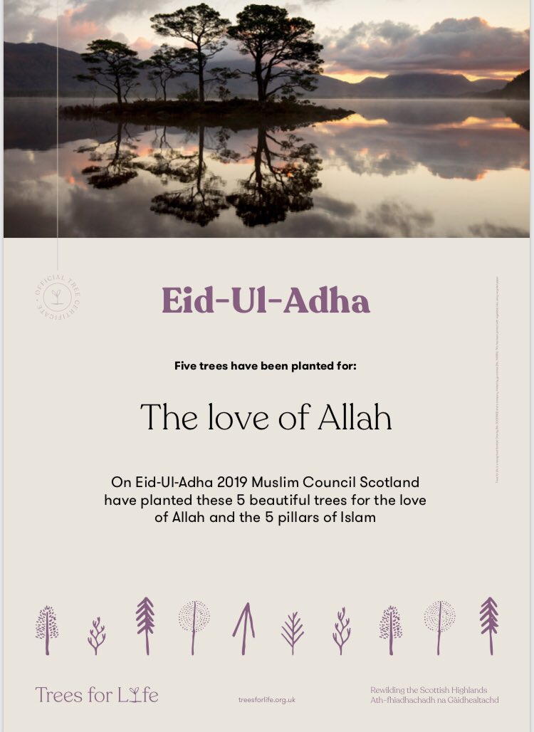 MuslimScot's tweet photo. To mark #EidAlAdha2019 we have planted 5 trees representing the #5PillarsofIslam #TreePlanting #Scotland #Community https://t.co/nD76xb1bUF