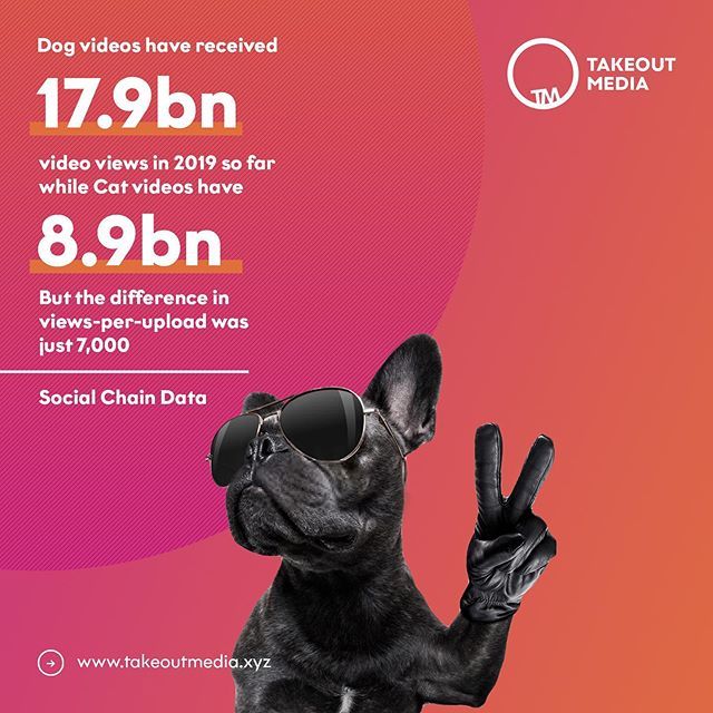 takeout_media's tweet photo. If you have a dog 🐕 it’s time to produce some content 💵 -
#data #socialmediacontent #socialmedia #dog #contentfacts #takeoutmedia #sunday #eidmubarak https://t.co/tJld1gSA1o https://t.co/euJWakxHlD