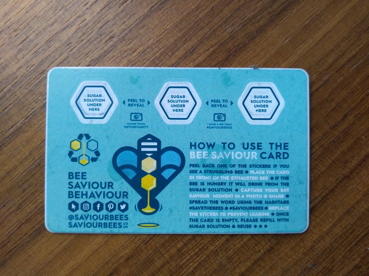 SteveJackson72's tweet photo. @ydnhkrm Not yet but carry 1 of these in my wallet just in case. #savethebees #saviourbees https://t.co/eqZs0cwlUI