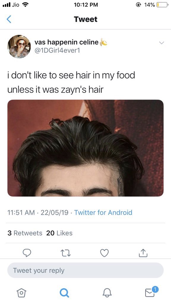 hahaha what if zayn’s hair got into my food haha just kidding... unless?