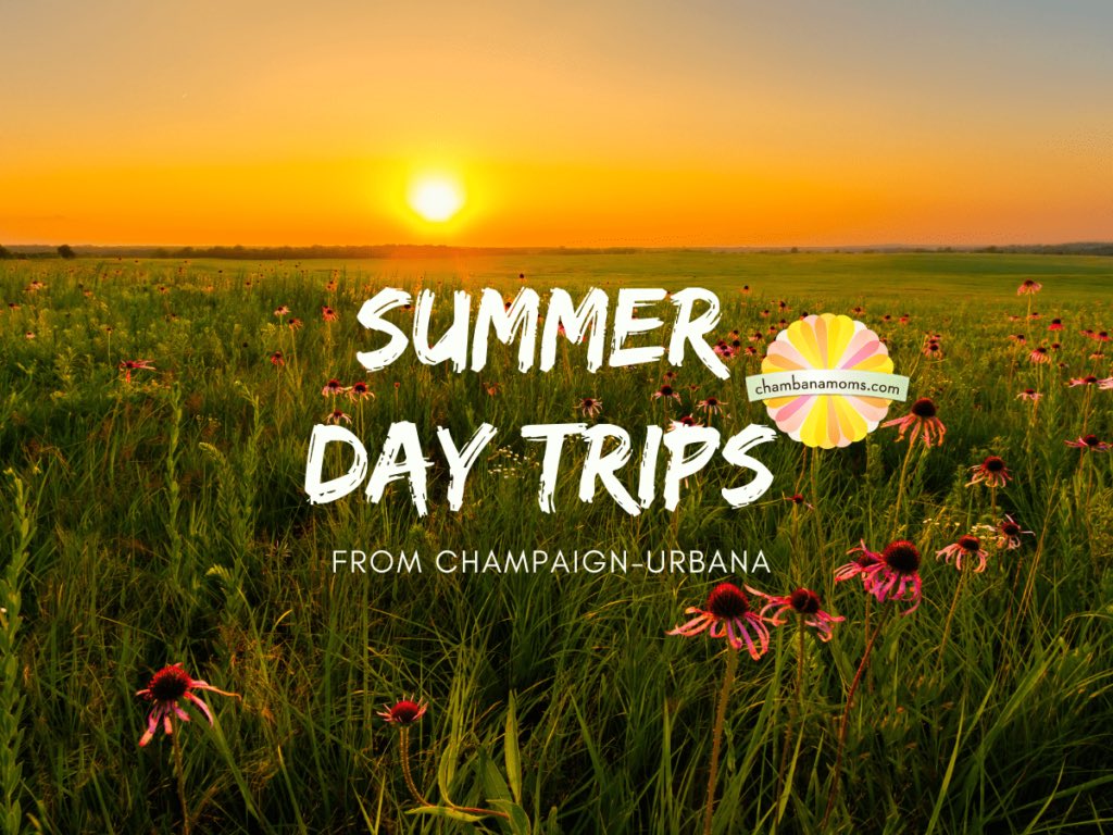 chambanamoms's tweet photo. 20+ Unique Summer Day Trips from Champaign-Urbana

There’s still time to enjoy these summer day trips! We’ve made a list of our favorite low-commitment day trips that are also fairly easy on your budget. What did we miss? 

#chambana #enjoyIllinois

https://t.co/086BOJJsbc https://t.co/37yruHoXIo