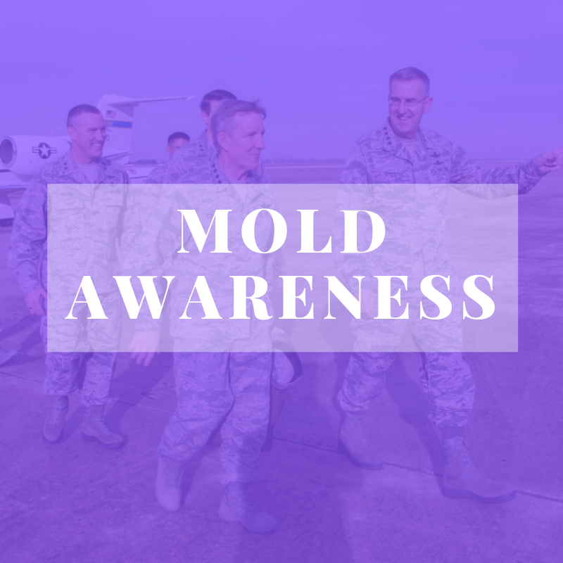 MrMoldInc's tweet photo. Inspectors found mold in 1,100 dorms in the Joint Base San Antonio-Lackland. It was so out-of-control that the mold spread across a pillow, a box spring, video game controller, boots, and a uniform sleeve in one of the dorms.
#blackmold #toxicmold #allergies #stachybotrys https://t.co/QIWtQpqpvt
