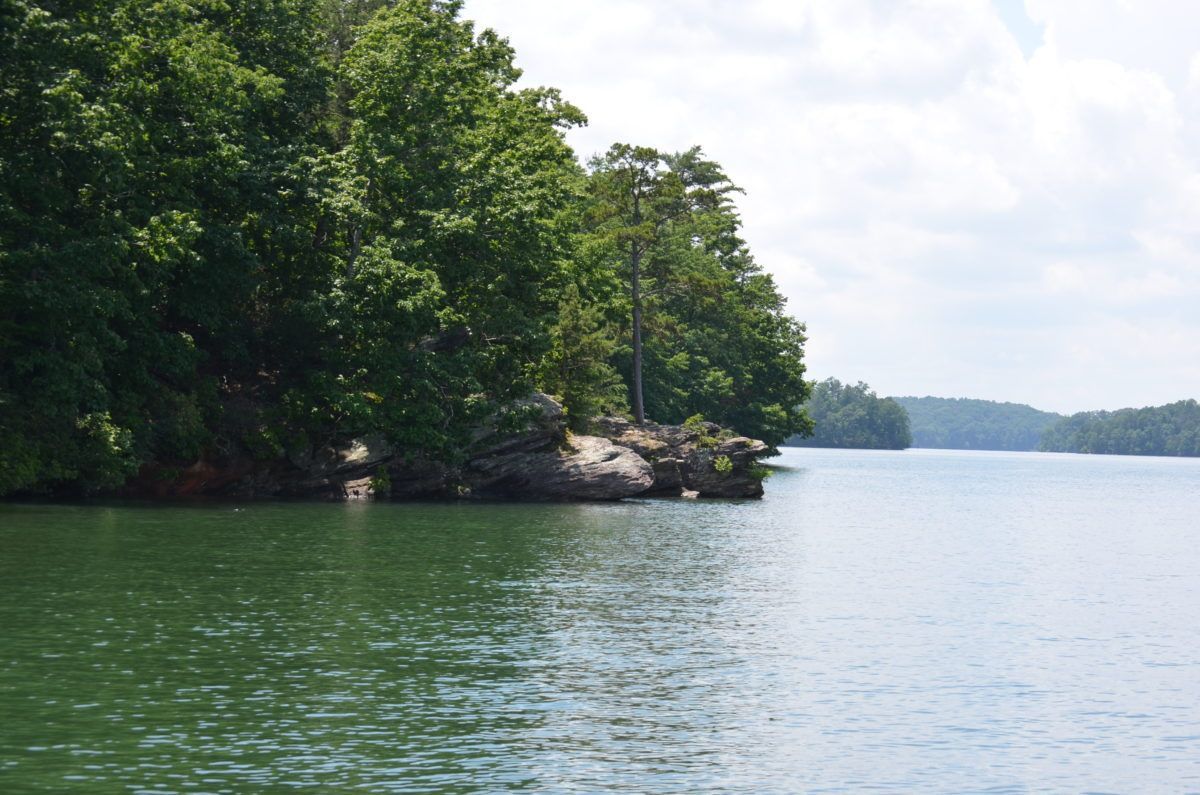 LakeLanier.com tweet media