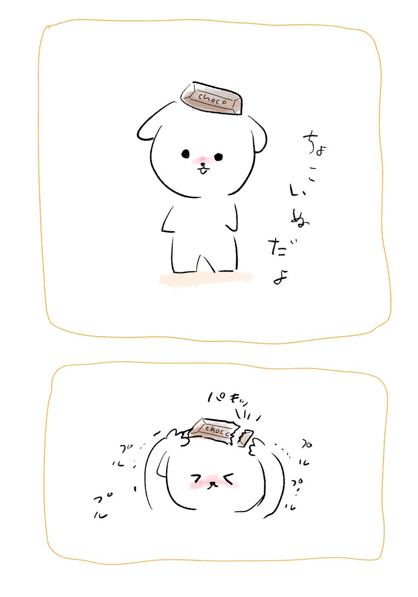 最近はチョコ食べて乗りきる日々( ˘ω˘ )🐶 