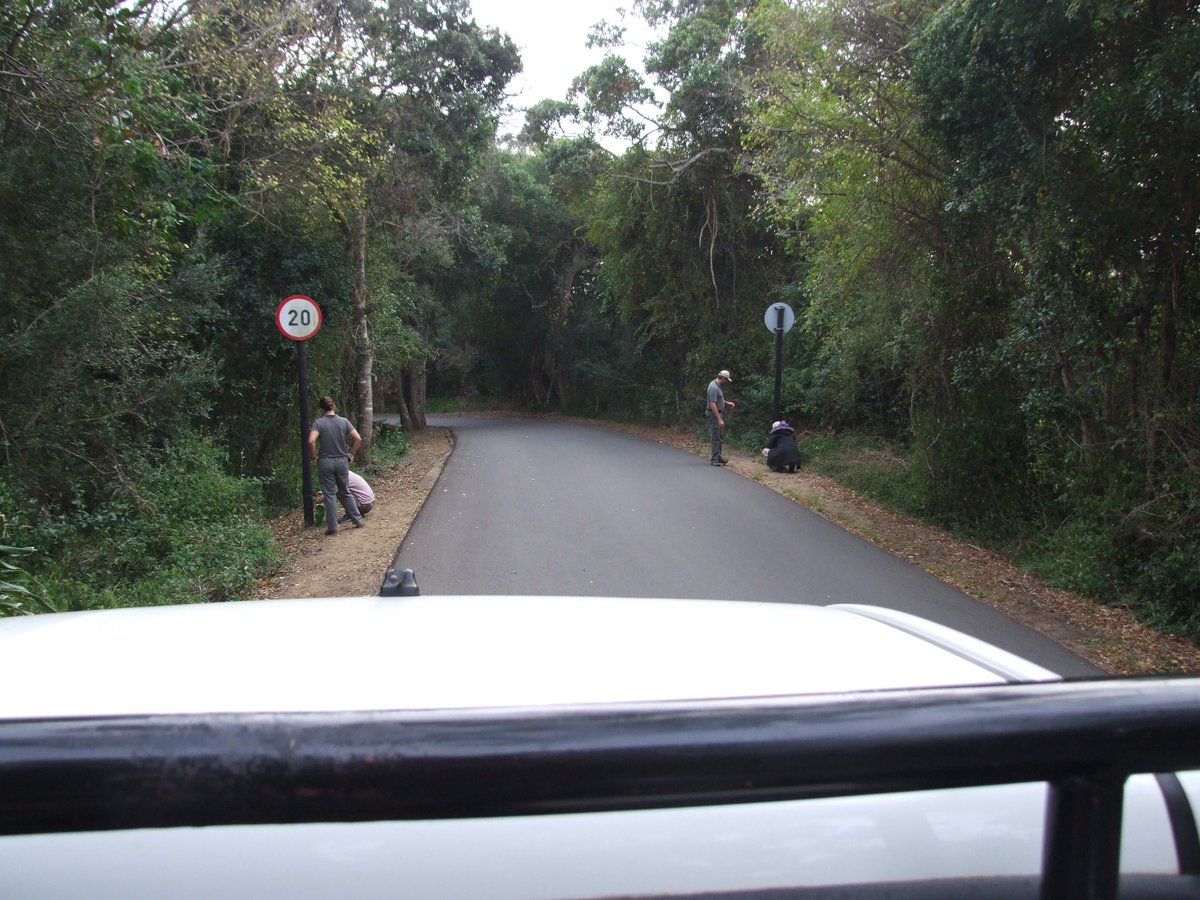 SafariKZNMark's tweet photo. There will me from everywhere I have stayed over the last week. From the canefields I headed to the #EasternShores to join up with #WildlifeAct. A great experience in a stunning location! #Leopard #LeopardProject #isimangalisowetlands #roadtrip #travel #volunteerinAfrica #dokzn https://t.co/Ea6sW1xSyH