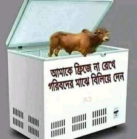 ZiniaZafa's tweet photo. ঈদ পোস্ট https://t.co/qrTpDrSjcq