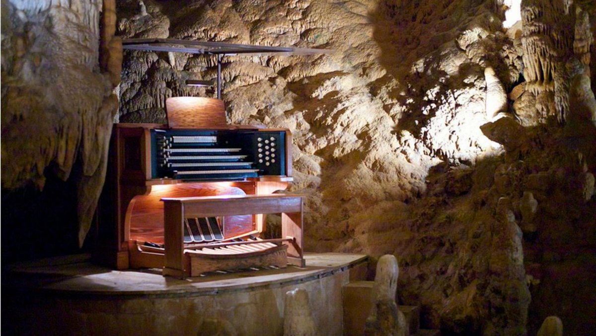 theTracyMorris's tweet photo. #namethatinstrument
What does this (pic a)
have in common with this? (pic b) https://t.co/mJB7LmIsvE